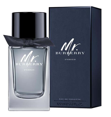 mr Burberry cologne